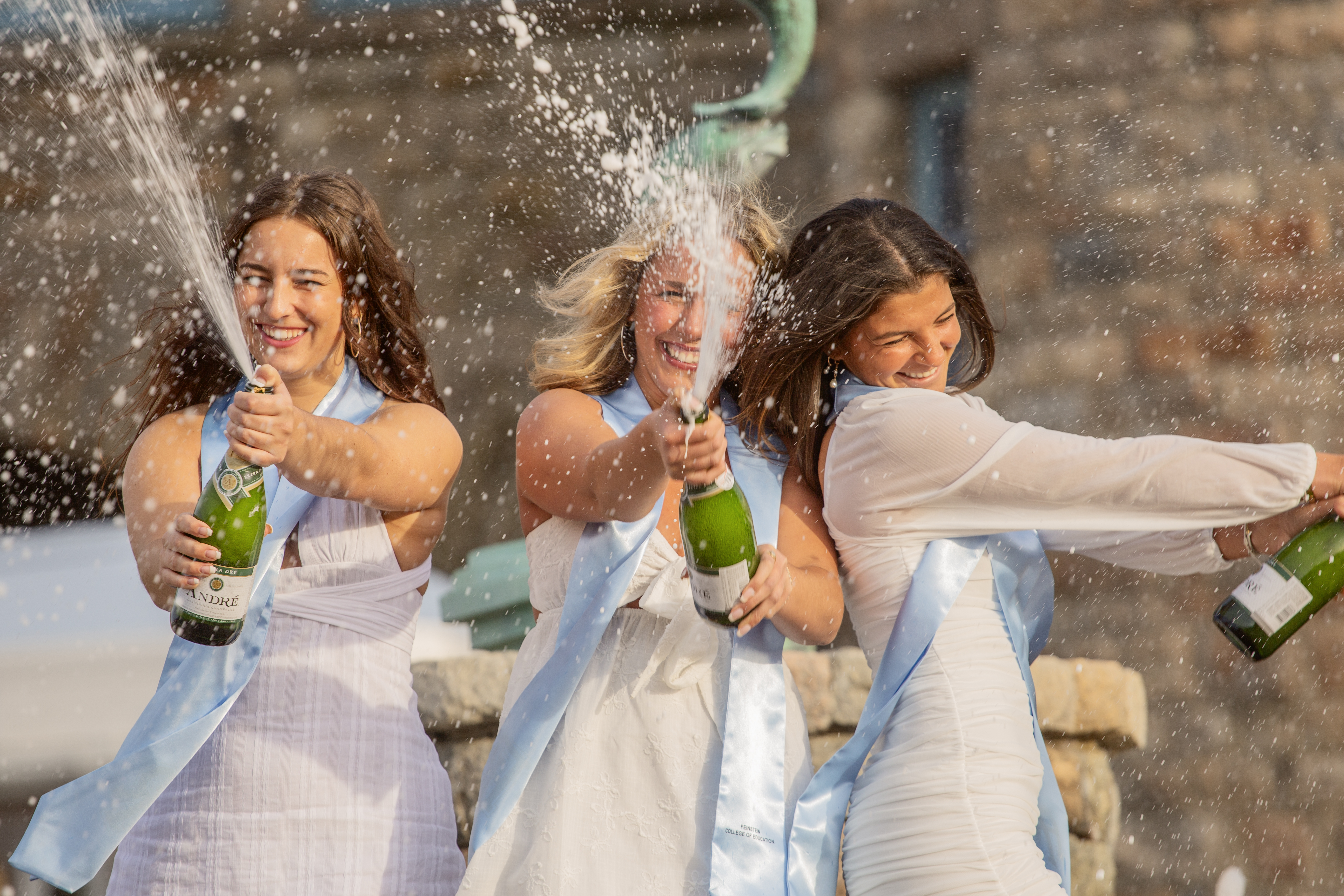Wedding party group portrait outdoors