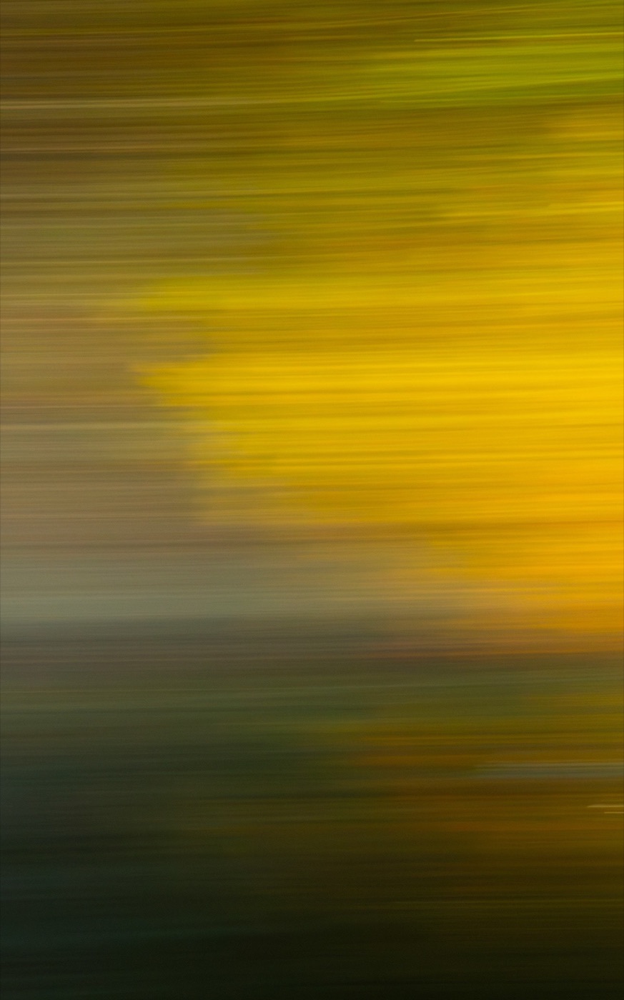 Falling Light: autumn woods pulled into vertical streaks of green and gold by intentional camera movement, Peabody, Massachusetts